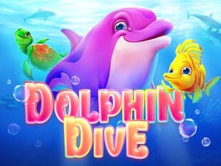Dolphin Dive